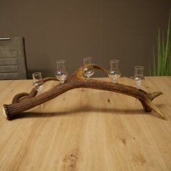 Schnapsanbieter 5 x kleine Gläser Steckglas mit Stiel auf Rothirschstange Geschenk 27.60.2.95
