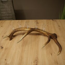Schnapsanbieter 5 x kleine Gläser Steckglas mit Stiel auf Rothirschstange Geschenk 27.60.2.95