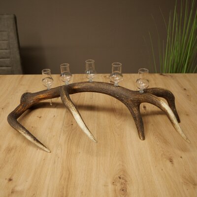 Schnapsanbieter 5 x kleine Gläser Steckglas mit Stiel auf Rothirschstange Geschenk 27.60.2.100