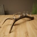 Schnapsanbieter 5 x kleine Gläser Steckglas mit Stiel auf Rothirschstange Geschenk 27.60.2.100