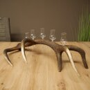 Schnapsanbieter 5 x kleine Gläser Steckglas mit Stiel auf Rothirschstange Geschenk 27.60.2.100
