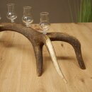 Schnapsanbieter 5 x kleine Gläser Steckglas mit Stiel auf Rothirschstange Geschenk 27.60.2.100