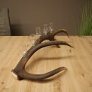 Schnapsanbieter 5 x kleine Gläser Steckglas mit Stiel auf Rothirschstange Geschenk 27.60.2.100
