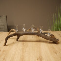 Schnapsanbieter 5 x kleine Gläser Steckglas mit Stiel auf Rothirschstange Geschenk 27.60.2.100