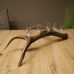 Schnapsanbieter 5 x kleine Gläser Steckglas mit Stiel auf Rothirschstange Geschenk 27.60.2.100