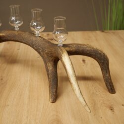 Schnapsanbieter 5 x kleine Gläser Steckglas mit Stiel auf Rothirschstange Geschenk 27.60.2.100