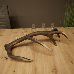Schnapsanbieter 5 x kleine Gläser Steckglas mit Stiel auf Rothirschstange Geschenk 27.60.2.100