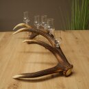 Set da liquore: 5 bicchierini con stelo su un corno di...
