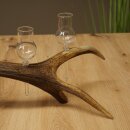 Set da liquore: 5 bicchierini con stelo su un corno di...