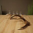Schnapsanbieter 5 x kleine Gläser Steckglas mit Stiel auf Rothirschstange Geschenk 27.60.2.101