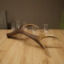 Schnapsanbieter 5 x kleine Gläser Steckglas mit Stiel auf Rothirschstange Geschenk 27.60.2.101