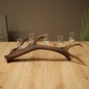 Schnapsanbieter 5 x kleine Gläser Steckglas mit Stiel auf Rothirschstange Geschenk 27.60.2.101