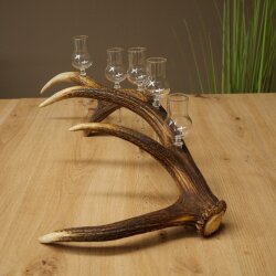 Schnapsanbieter 5 x kleine Gläser Steckglas mit Stiel auf Rothirschstange Geschenk 27.60.2.101