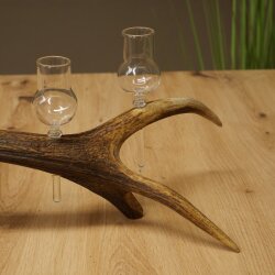 Schnapsanbieter 5 x kleine Gläser Steckglas mit Stiel auf Rothirschstange Geschenk 27.60.2.101