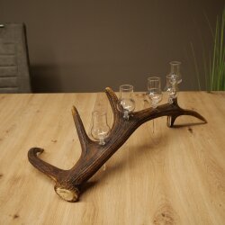Schnapsanbieter 5 x kleine Gläser Steckglas mit Stiel auf Rothirschstange Geschenk 27.60.2.101