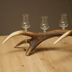 Schnapsanbieter 5 x kleine Gläser Steckglas mit Stiel auf Rothirschstange Geschenk 27.60.2.101