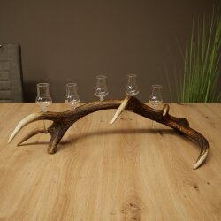 Schnapsanbieter 5 x kleine Gläser Steckglas mit Stiel auf Rothirschstange Geschenk 27.60.2.101