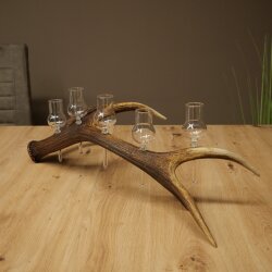 Schnapsanbieter 5 x kleine Gläser Steckglas mit Stiel auf Rothirschstange Geschenk 27.60.2.101