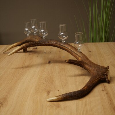 Schnapsanbieter 5 x kleine Gläser Steckglas mit Stiel auf Rothirschstange Geschenk 27.60.2.102