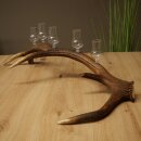 Set da liquore: 5 bicchierini con stelo su un corno di...