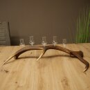 Set da liquore: 5 bicchierini con stelo su un corno di...