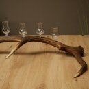Schnapsanbieter 5 x kleine Gläser Steckglas mit Stiel auf Rothirschstange Geschenk 27.60.2.102