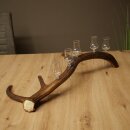 Schnapsanbieter 5 x kleine Gläser Steckglas mit Stiel auf Rothirschstange Geschenk 27.60.2.102