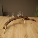 Schnapsanbieter 5 x kleine Gläser Steckglas mit Stiel auf Rothirschstange Geschenk 27.60.2.102