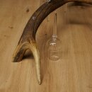 Schnapsanbieter 5 x kleine Gläser Steckglas mit Stiel auf Rothirschstange Geschenk 27.60.2.102
