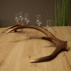 Schnapsanbieter 5 x kleine Gläser Steckglas mit Stiel auf Rothirschstange Geschenk 27.60.2.102