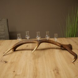 Schnapsanbieter 5 x kleine Gläser Steckglas mit Stiel auf Rothirschstange Geschenk 27.60.2.102