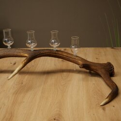 Schnapsanbieter 5 x kleine Gläser Steckglas mit Stiel auf Rothirschstange Geschenk 27.60.2.102