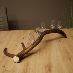 Schnapsanbieter 5 x kleine Gläser Steckglas mit Stiel auf Rothirschstange Geschenk 27.60.2.102