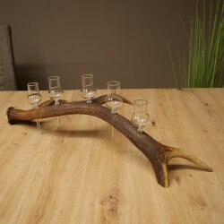 Schnapsanbieter 5 x kleine Gläser Steckglas mit Stiel auf Rothirschstange Geschenk 27.60.2.102