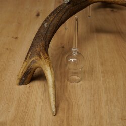 Schnapsanbieter 5 x kleine Gläser Steckglas mit Stiel auf Rothirschstange Geschenk 27.60.2.102