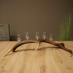 Schnapsanbieter 5 x kleine Gläser Steckglas mit Stiel auf Rothirschstange Geschenk 27.60.2.102