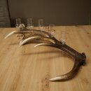 Set da liquore: 5 bicchierini con stelo su un corno di...