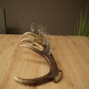 Liqueur Set: 5 Small Stemmed Glasses on a Red Deer Antler Stand – Gift Set 27.60.2.96