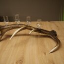 Liqueur Set: 5 Small Stemmed Glasses on a Red Deer Antler Stand – Gift Set 27.60.2.96
