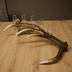 Liqueur Set: 5 Small Stemmed Glasses on a Red Deer Antler Stand – Gift Set 27.60.2.96