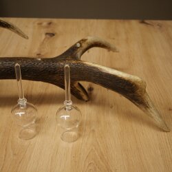 Liqueur Set: 5 Small Stemmed Glasses on a Red Deer Antler Stand – Gift Set 27.60.2.96