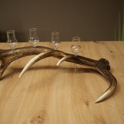 Liqueur Set: 5 Small Stemmed Glasses on a Red Deer Antler Stand – Gift Set 27.60.2.96