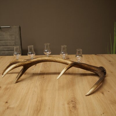 Schnapsanbieter 5 x kleine Gläser Steckglas mit Stiel auf Rothirschstange Geschenk 27.60.2.97