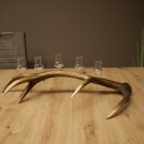 Set da liquore: 5 bicchierini con stelo su un corno di...