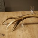 Set da liquore: 5 bicchierini con stelo su un corno di...