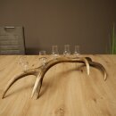 Schnapsanbieter 5 x kleine Gläser Steckglas mit Stiel auf Rothirschstange Geschenk 27.60.2.97