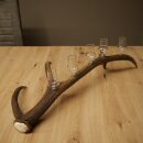 Schnapsanbieter 5 x kleine Gläser Steckglas mit Stiel auf Rothirschstange Geschenk 27.60.2.97