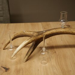 Schnapsanbieter 5 x kleine Gläser Steckglas mit Stiel auf Rothirschstange Geschenk 27.60.2.97