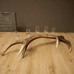 Schnapsanbieter 5 x kleine Gläser Steckglas mit Stiel auf Rothirschstange Geschenk 27.60.2.97