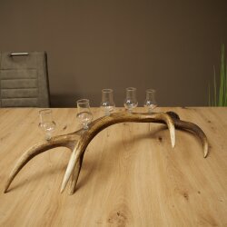 Schnapsanbieter 5 x kleine Gläser Steckglas mit Stiel auf Rothirschstange Geschenk 27.60.2.97